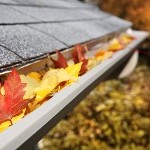 Gutter Cleaning